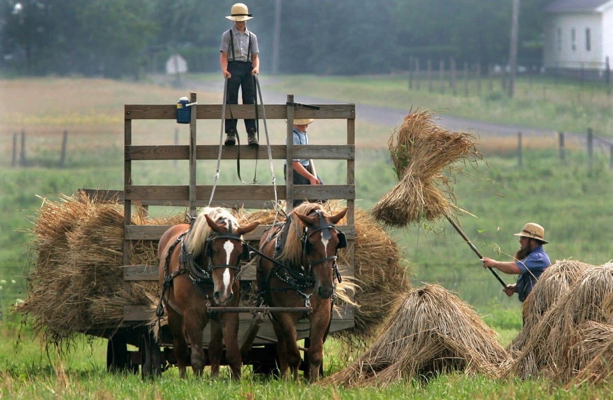 Six Fitness Lessons From a Fascinating Study on the Amish